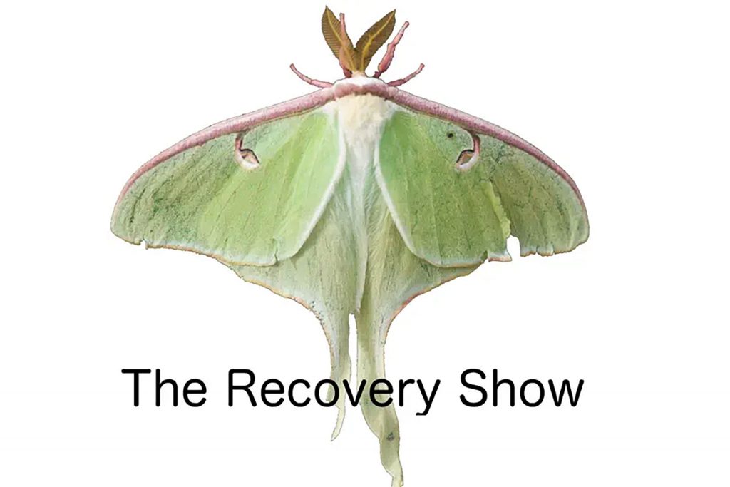 The Recovery Show - DR. Sarah Michaud